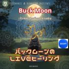 ♑バックムーンLIVEヒーリング7月11日
